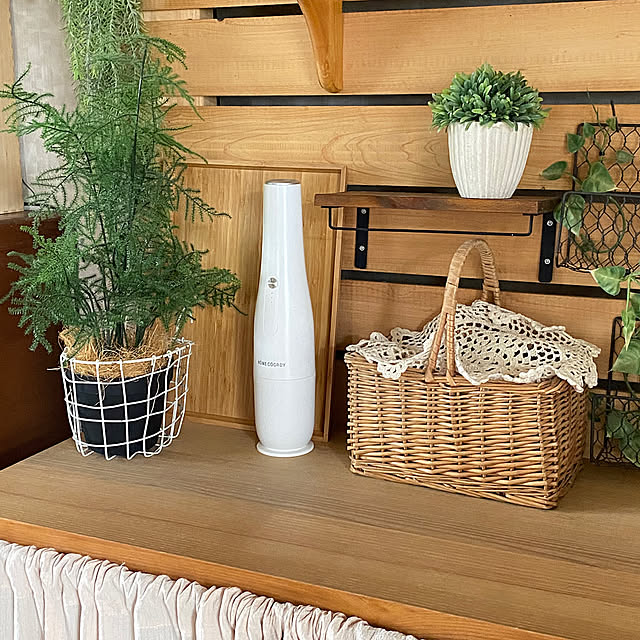 My Shelf,板壁DIY,フェイクグリーン,コスパ良し,コードレスハンディクリーナー,イオン ホームコーディ,2025.2.16,プライベートブランド,いつもありがとうございます,フォローありがとうございます mintteaの部屋