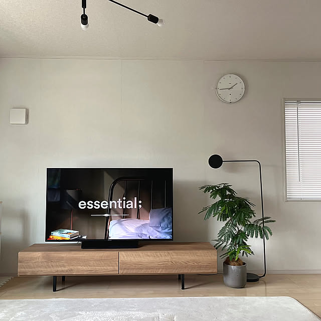 Lounge,LOWYAテレビボード,LOWYA,テレビ台,テレビボード,観葉植物,照明,雑貨,DIY,北欧インテリア,海外インテリア,建売住宅,ブラインド,北欧,エバーフレッシュ,韓国インテリア,淡色インテリア chiiの部屋