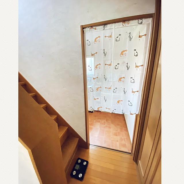 体重計置き場,ねこのいる日常,ねこと暮らす。,ダイソー,Bathroom necomuraの部屋