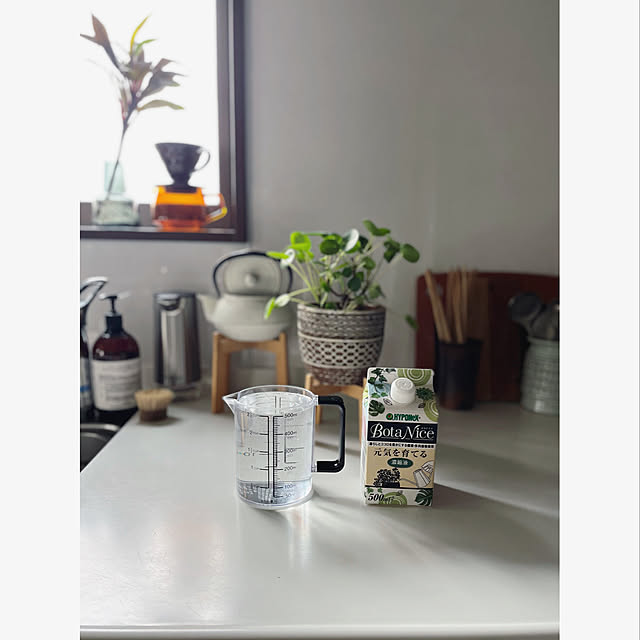 BotaNice,虫対策,植物のある暮らし,多肉植物,観葉植物,暮らし,インテリア,マイホーム,Kitchen mi..Eの部屋