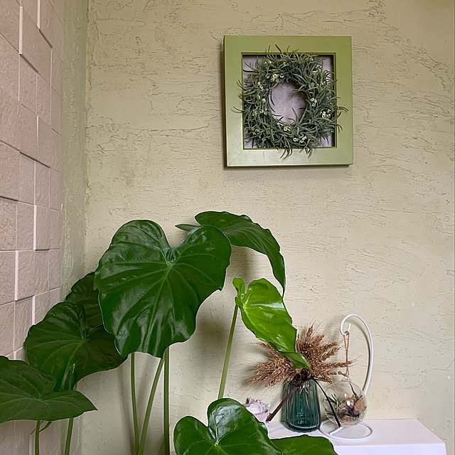 ハンドメイドブログやってます(^^),時計→フレーム,ダイソーのフラワーベース,ムギのドライ,クワズイモ,漆喰うまくヌレール,漆喰壁DIY,時計をリメイク,空気を整える,心地よい暮らし,LIXILエコカラット,リース手作り,エコカラット DIY,Bathroom mizucchiの部屋