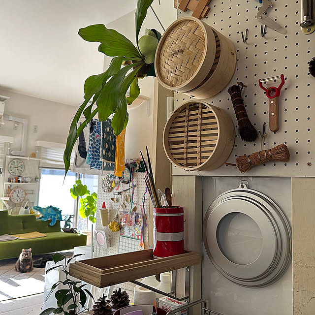Kitchen,無印良品,ビカクシダ,有孔ボード収納,有孔ボード DIY,有孔ボード,せいろ生活,せいろのある暮らし,せいろ初心者,せいろ蒸し器,せいろ収納,せいろ,キッチン収納,ディアウォール,ラブリコ,DIY,猫,ねこ,保護猫,もなかちゃん mikomaruの部屋
