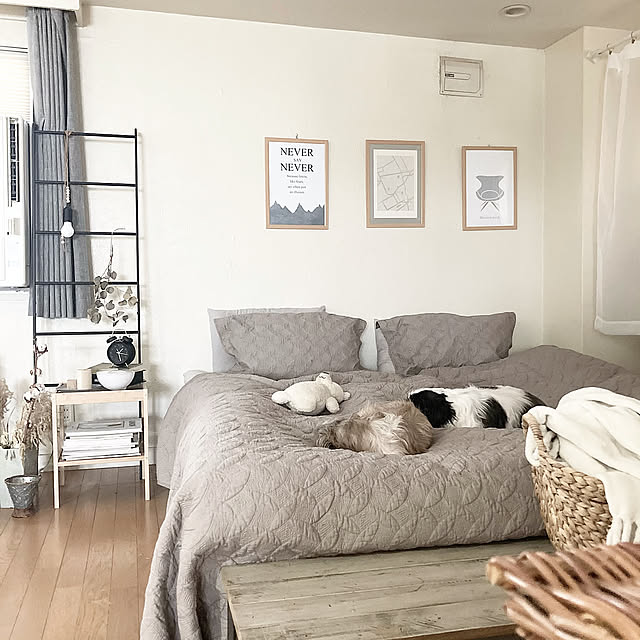IKEA,ベッドルーム,ベッド,ふたり暮らし,海外インテリアに憧れる,賃貸マンション,賃貸インテリア,北欧,グレーインテリア,いぬと暮らす,賃貸,インスタ→nuunao2019,北海道,いぬのいる暮らし,ラダーハンガー,Bedroom,楽天ルームに載せてます,楽天ルームはプロフィールから nuunao2019の部屋