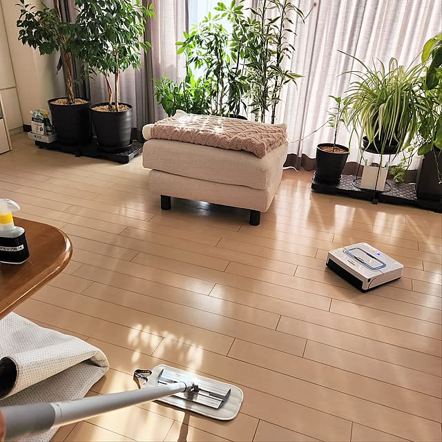 モップ,大掃除,掃除,Panasonic,マンション暮らし,観葉植物のある暮らし,買ってよかったもの,床掃除,床拭きロボット,ローラン,MQ Duotex,Panasonicローラン,MQ.クライメートスマートプレミアム,30センチグレー,ブランケット,フロアモップ,掃除用品,東京インテリアのカーテン,On Walls,拭き掃除 love1017の部屋