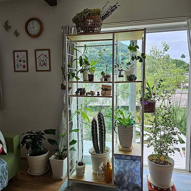 My Shelf,観葉植物のある暮らし,ハンガーラック,観葉植物,笑う門には福来る♡,RCの出会いに感謝♡,いつもいいねやコメありがとうございます♡,穏やかな日常に感謝❁.*･ﾟ,何気ない日常に感謝❁⃘*.ﾟ,神様に感謝 mayumiの部屋