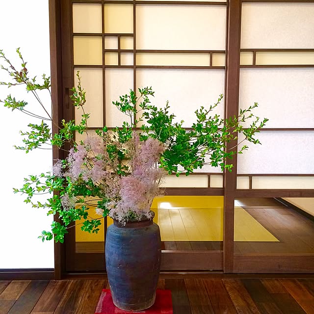Entrance,壺,スモークツリー,ドウダンツツジ,和室,畳,デザイン障子,ホテルライク,植物のある暮らし,和風,和モダン,花のある暮らし,無垢材の床,障子 5mayの部屋