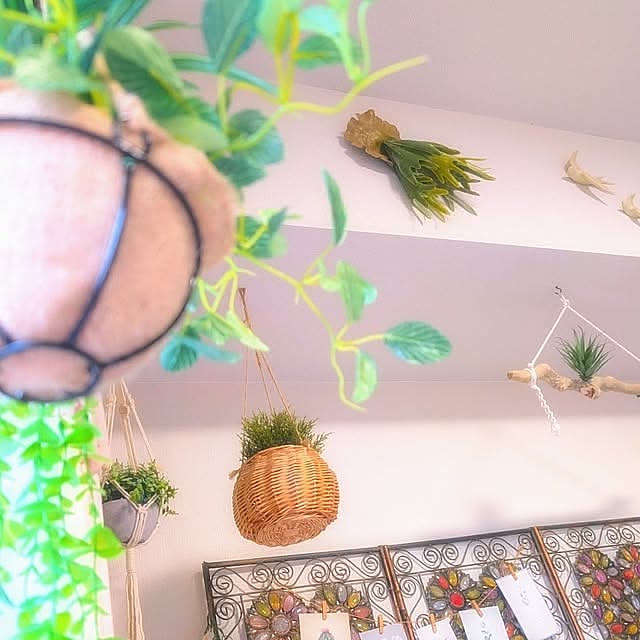 Lounge,salut!,ハンドメイド,おしゃれ,ナチュラルインテリア,おうちカフェ,かわいい♡,おしゃれで可愛く,お花のある暮らし,プチプラ最高♪,RCの出会いに感謝♡,グリーンのある暮らし,楽しい時間,みなさんの素敵なインテリアに癒されてます,レトロな感じが好き,いいね&フォローありがとうございます☆,100均大好き,雑貨屋さん巡り,おうち時間,かわいいもの好き,雑貨ちゃん,おしゃれにしたい‼,おしゃれなお部屋に憧れる,雑貨屋さん大好き,大好きな物に囲まれた暮らし,春始めました harumoeの部屋