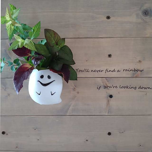 On Walls,ハロウィン,オールドウッドワックス,100均,セリア,コリウス,アルテラナンテラ,シモツケ,自作ステッカー,加工なしでもこんなに綺麗な葉色♡ chocoの部屋