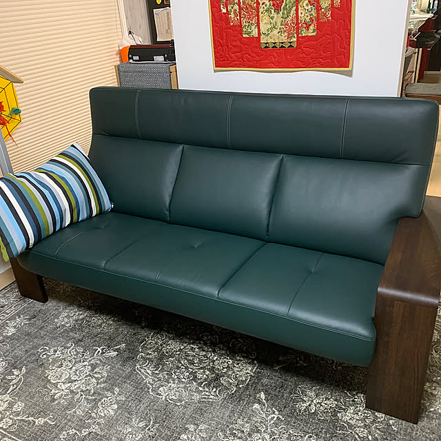 Lounge,カリモクソファ,一条工務店,ismart alexdragonの部屋