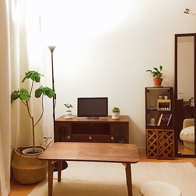 Overview,正方形の部屋,1K,一人暮らし,カフェ風,ナチュラル,大学生,フェイクグリーン,7.1帖,ウンベラータ,IKEA,フロアランプ,ウォールナット,観葉植物 minawaの部屋