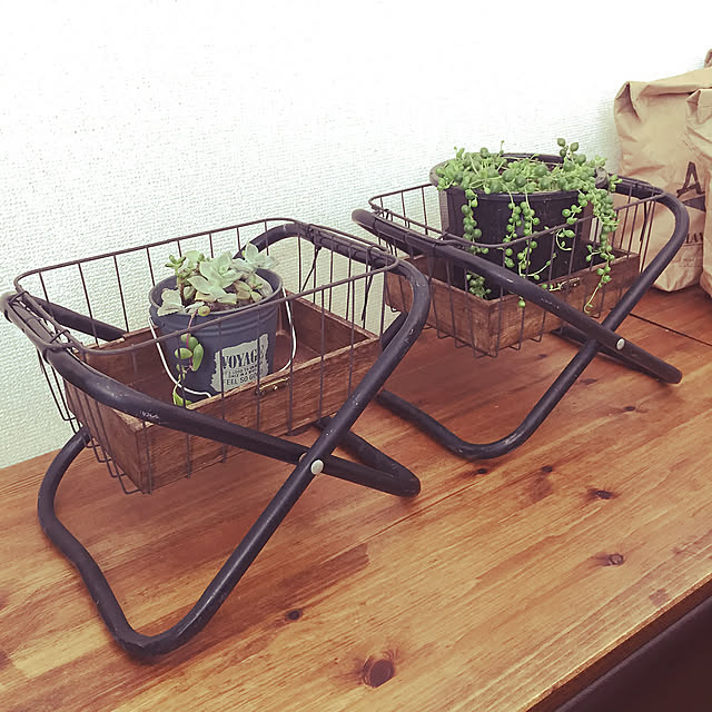 My Shelf,多肉植物,真似っこ♡,セリア,DIY,観葉植物 togomamaの部屋
