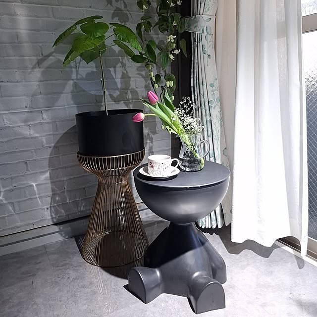 ブラックインテリア,グリーン,マグカップ,1LDK,マンション,一人暮らし,お花,花瓶,フラワーベース,冬,チューリップ,鉢植え,クレマチス,賃貸インテリア,珈琲愛( ˘͈ ᵕ ˘͈♡),お花が大好き( ´͈ ᗨ `͈ )◞❀,影が好き,RCの出会いに感謝♡,植中毒,お返事遅くなります(。-人-。),季節を楽しむ暮らし,コメントお気遣いなく(⁎ᴗ͈ˬᴗ͈⁎),壁貼り貼り,床貼り貼り,カベガミヤホンポ,NO GREEN NO LIFE,壁紙屋本舗,クローバー,アイアンプランター,カフェ風 noaの部屋