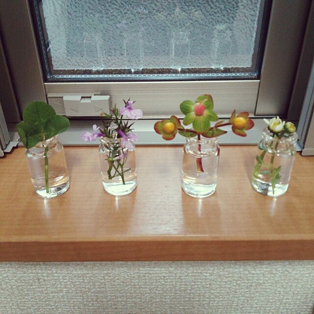 On Walls,花瓶,雑草の花,空き瓶 nikoの部屋