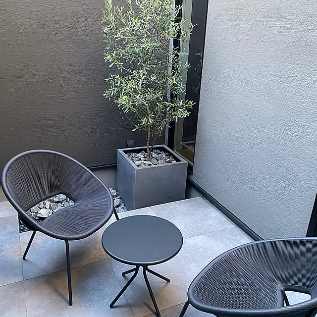 Overview,中庭,オリーブ,オリーブの木,オリーブの鉢植え,中庭のある暮らし piklsの部屋