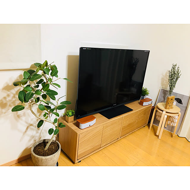 Lounge,ACME FURNITURE,みどりのある暮らし,ドライフラワー,北欧,テレビ周り,初投稿,フィカスベンガレンシス,洋梨のポスター,無印良品,観葉植物 nananapikoの部屋