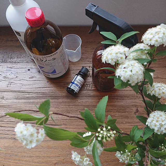 植物,枝もの,花のある暮らし,シンプルな暮らし,コデマリ,ハッカ油,ハッカ油スプレー,ハッカ油虫除けスプレー,天然成分,虫除け対策,キャンプ好き,夏の肌のクールダウン,リネンウォーター,トイレや玄関の芳香剤,部屋干しの臭い対策 Mi-koの部屋