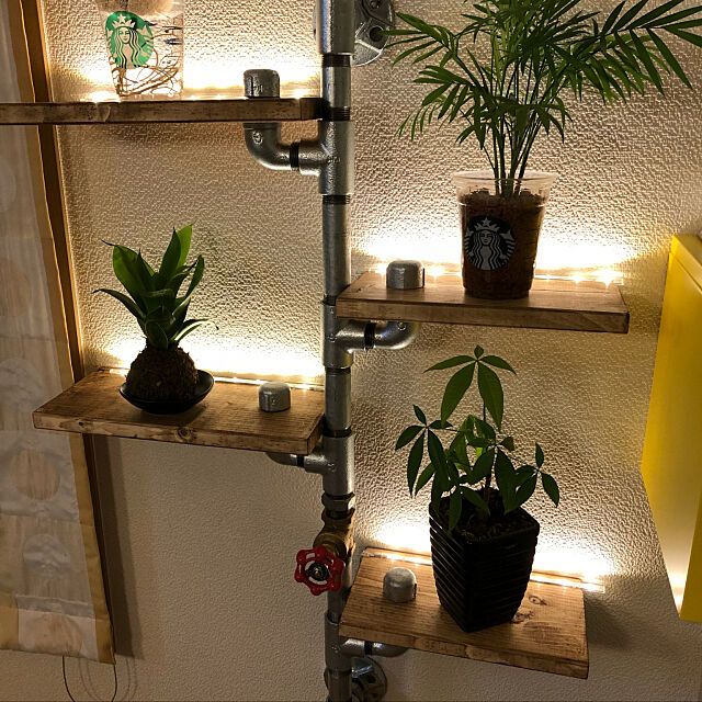 My Shelf,DIY,ガス管,観葉植物,ハンドメイド ossanの部屋