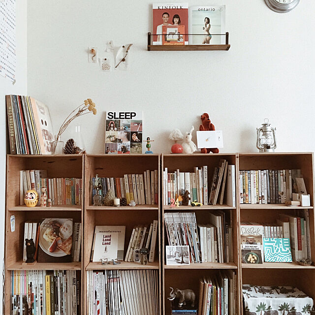My Shelf,本棚,観葉植物,GOOUTLivin',我が家の本棚,DIY,ドライフラワー,ギャッベ,キャンプ,アウトドア,KINFOLK,GOOUT,読書 419Naoの部屋