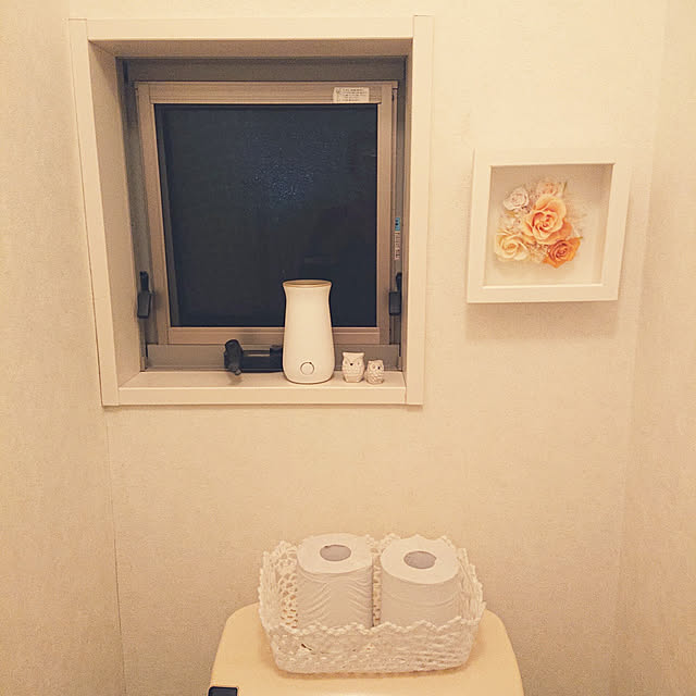 Bathroom,雑貨,ニトリ cocoの部屋