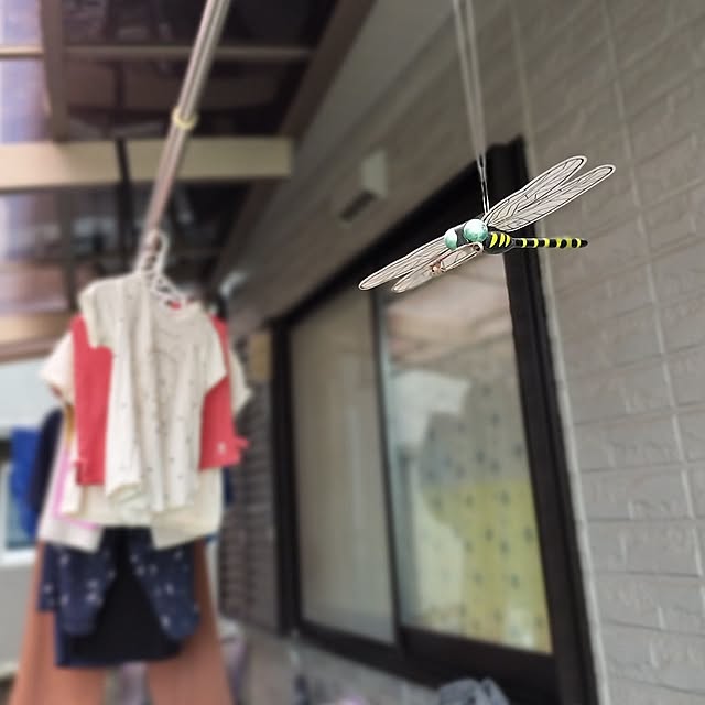 Entrance,虫対策,子どものいる暮らし,水遊び,噴水マット,オニヤンマくん,オニヤンマ君,オニヤンマ効果 mash-room.aeの部屋
