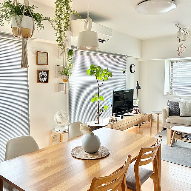 Overview,観葉植物,ブラインド,北欧,夏,マンション,北欧インテリア,ウンベラータ,立川ブラインド,ルームツアー,窓,横長リビングダイニング,スヌンタイ→サンデーの間違い,3年前に壁紙、床少しリフォーム,オーク材テーブル,オーク材,ダイニング,ダイニングテーブル,グリーン,グリーンのある暮らし,サーキュレーター,マンション暮らし krkrの部屋