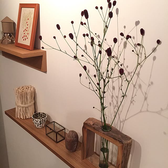 My Shelf,茶系,無印良品 壁に付けられる家具,actus,IDEE,秋色,一人暮らし,アンティークボタニカルアート,バリ,リゾート,間接照明,ミックス＆リラックス shinの部屋
