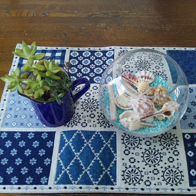Lounge,多肉植物寄せ植え,貝殻,ニトリのガラス,ニトリのランチョンマット naopyiの部屋