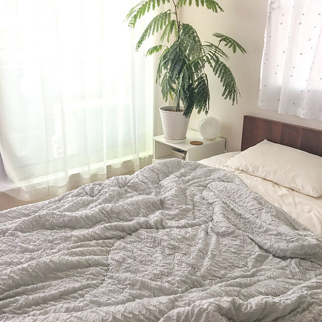 寝室,IKEA 照明,エバーフレッシュ,夏寝具,掛け布団,ベッド,暮らしを楽しむ,観葉植物のある暮らし,Bedroom yu-rinの部屋