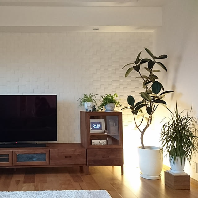 Lounge,観葉植物のある部屋,オリズルラン,ポトス,無印良品 壁に付けられる家具,セリア,無印良品,エコカラットの壁,ドラセナコンシンネ,フィカスシャングリラ,フィカスバーガンディ,観葉植物のある暮らし,エコカラットキルト,Panasonic 照明,cacao,benca,mukku KID_Aの部屋