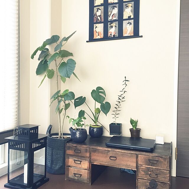 Lounge,文机,IKEA,観葉植物 tifaの部屋