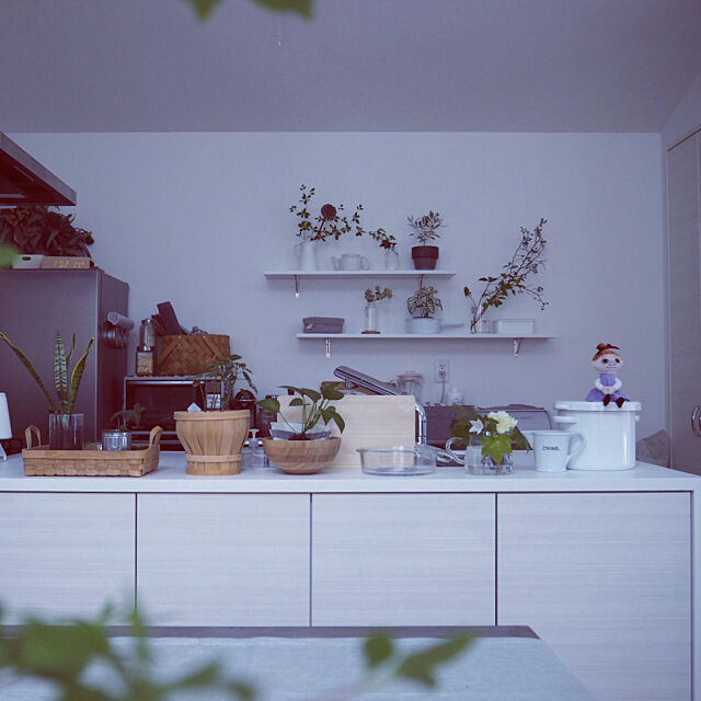 Kitchen,キッチン収納,花のある暮らし,植物のある暮らし,いいね、フォロー本当に感謝デス☺︎,イベント参加中,Instagram→kayo_daily,暮らしを楽しむ,丁寧な暮らしがしたい mimiedenの部屋