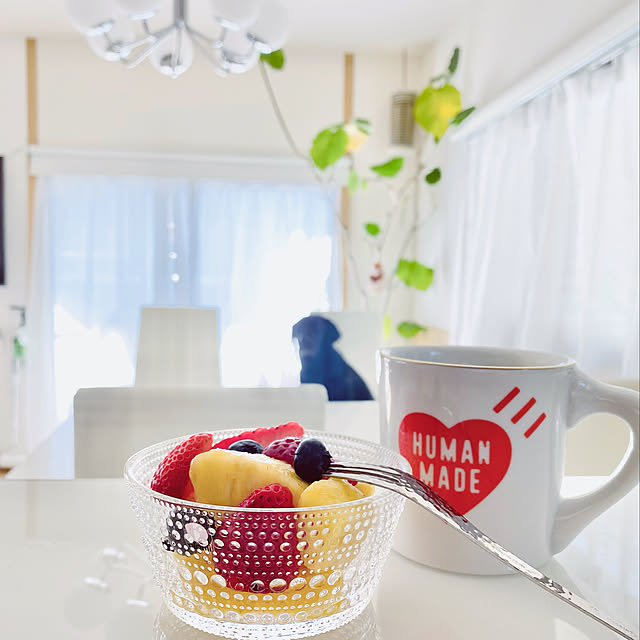 コーヒー,朝食,イッタラ カステヘルミ,イッタラ,観葉植物,IKEA,ペットと暮らす家,ペットのいる暮らし,ペット,ラブラドールレトリバー,ウンベラータ,HUMAN MADE,ヒューマンメイド,My Desk minu5656の部屋