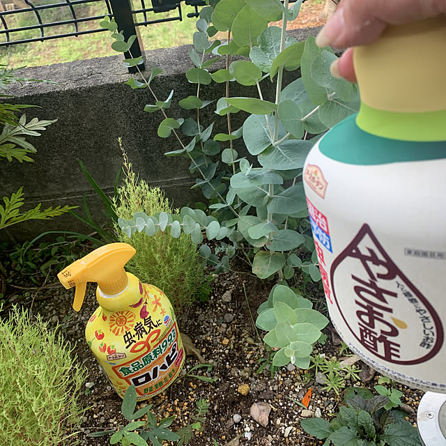 モニター投稿,ユーカリ,やさお酢モニター,やさお酢,アースガーデン,害虫対策,ガーデニング fumitakurinの部屋