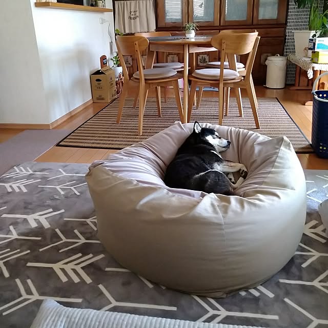Lounge,柴犬,いぬと暮らす,いぬのいる暮らし,黒柴,犬,人をダメにするソファー,RC柴犬の会,癒し Yuzuの部屋