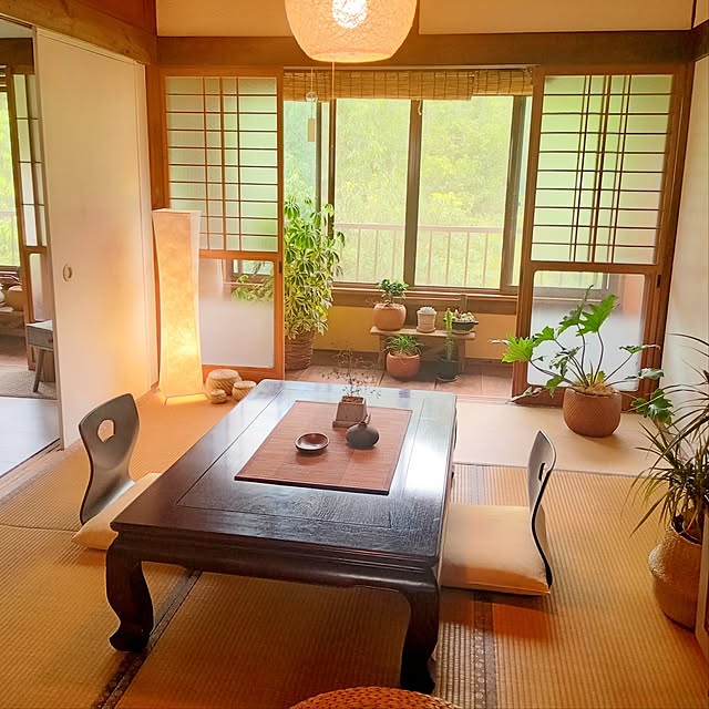 Overview,セカンドライフ,和風モダン,和室,観葉植物,和室のインテリア,間接照明,間接照明のある暮らし,間接照明のある部屋,観葉植物のある暮らし,観葉植物のある部屋,癒やしの空間,旅館風 rittaの部屋