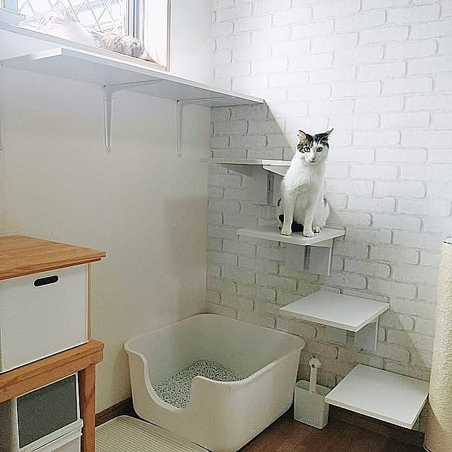 Lounge,保護猫,猫と暮らす家,ねこのいる日常,ねこと暮らす,レンガ壁紙,猫用階段DIY,ダイソー,スタンドバー,特大猫トイレ,2連投になります kirakirahikaruの部屋