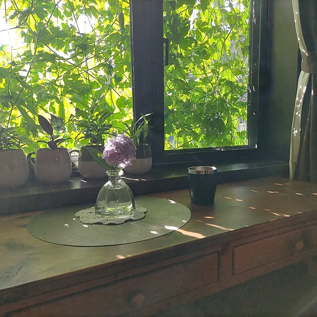My Desk,ダイソー,夏,コーヒータイム,seria,紫陽花,ハイドロカルチャー,夏に向けて,カフェ風インテリア,窓際のリラックス空間,朝のひととき,窓際のグリーン,暑さ対策,グリーンを増やしたい,ダイソーグリーン,窓からの光,窓際の風景,観葉植物のある暮らし,長机DIY,節電対策,ゴーヤのグリーンカーテン,癒やしのグリーン,エアコン効きに効果 michiの部屋