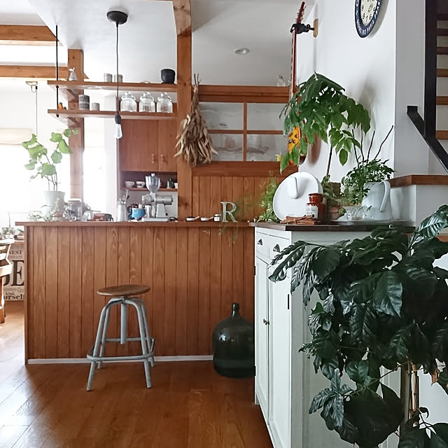 Kitchen,アズコンストラクション,無垢材の床,メンズナチュラル,ビターナチュラル,ギターナチュラル,カフェ風,アンティーク,観葉植物,ドライフラワー,COFFEE LOVER,珈琲のあるあたたかい暮らし,ボタニカルカフェスタイル,バッファロー・モニター,Wi-Fiルーター ,CONNECT bibi.karuの部屋