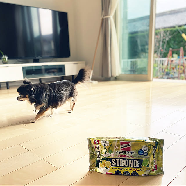 床掃除,まーちゃん,チワワのいる暮らし,クイックルワイパーSTRONG,暮らしの味方,ウィルス除去,年末掃除,除菌,大掃除,清潔に保つ,モニター投稿,平屋,Lounge,窓全開 Mikiの部屋