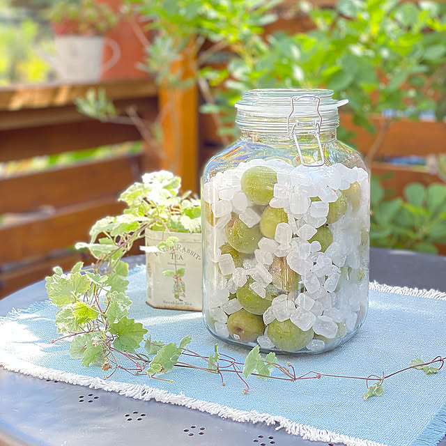 紅茶缶,ダイソーのビン,梅仕事,梅シロップ,2021.6.1,いいね！ありがとうございます♪,ありがとうございます,いつもありがとうございますʕ•ᴥ•ʔ,植物のある暮らし,デッキガーデン,見て頂き感謝です♪,IKEAガーデンテーブル,ウッドデッキ,ウッドデッキDIY,IKEAガーデンテーブルセット,コメントお気遣いなく(⁎ᴗ͈ˬᴗ͈⁎),ベランダガーデン,植物が好き,Entrance mintteaの部屋