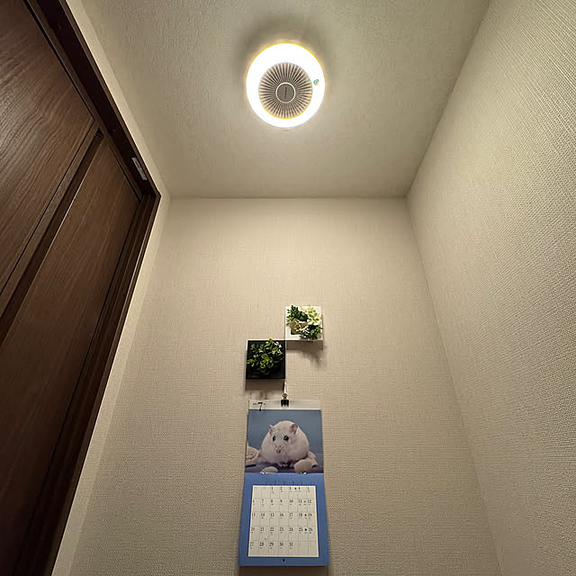 Bathroom,ドウシシャ,サーキュライト人感センサー,サーキュライト Rainyの部屋