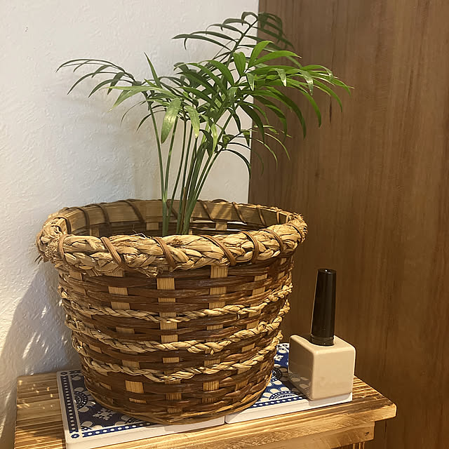 Entrance,下駄箱ディスプレイ,歯ブラシスタンドを印鑑スタンドに,代用品,セリア歯ブラシスタンド,セリア,昭和の家,築39年,東西に長い家,参道沿いに建つ家,お寺の参道沿い mommyの部屋