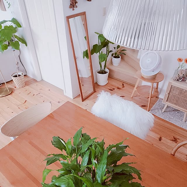 Overview,ホワイトインテリア,グリーンのある暮らし,暮らしを楽しむ,木のある暮らし,心地よい暮らし,季節を楽しむ暮らし,スパティフィラム♡,癒しの空間❁*.ﾟ surviveの部屋