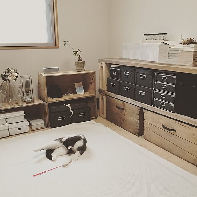 Lounge,ホットカーペット,無印良品,猫,ねこ,ねこのいる風景,ねこ部,マチ子,りんご箱,コシャー箱,ドライフラワー,足場板,賃貸,DIY yunの部屋