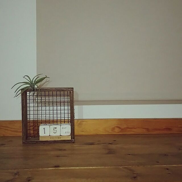 My Shelf,カレンダー,DIY,端材 DIY,ダイソー,ダイソーキューブリメイク,万年カレンダー,焼き網リメイク,エアプランツ aliceの部屋