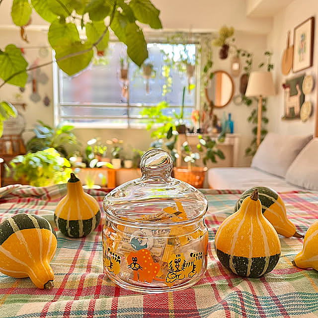 My Desk,アデリアレトロ,飾りかぼちゃ,ガラス雑貨,観葉植物のある暮らし,好きなものに囲まれた暮らし,ごっちゃ混ぜインテリア,統一感はムシ ochoriの部屋