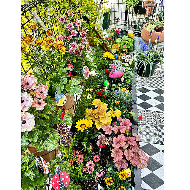 Entrance,ガーデニング,てんとう虫,ビフォーアフター,球根,ガーデニング初心者,1100円,北側ガーデンコーナー,球根植物,北側の庭,ladybug,２年前,激安花屋,土壌改良,ガーデニング,IKEAタイル,どめどめシート,ケース買い,２年越し,550円,SHEIN購入品,ブロックフェンス,球根初挑戦,TEMU購入品,義姉からの株分け,２年後,てんとう虫雑貨,ガーデニングにハマってます,激安店,義姉から貰ったラックス kittyの部屋