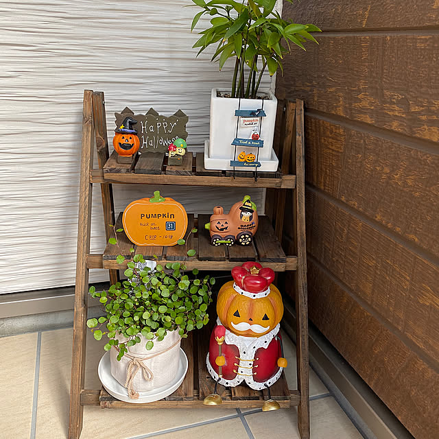 Entrance,玄関,パンプキング,なぎの木,ナチュラルキッチン,ハロウィン,癒し,かわいい,観葉植物のある暮らし,スワッグ ponponcooの部屋