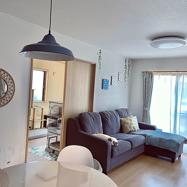 Lounge,ラタンミラー,ファブリックパネル,ソファ,トレッティオエン,IKEA,ペンダントライト,ねこのいる日常,ねこのいる暮らし chiiの部屋