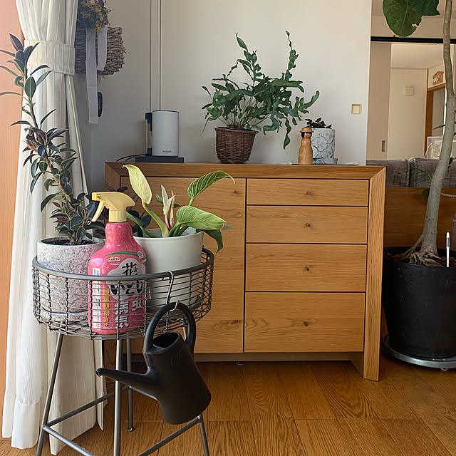 観葉植物,観葉植物のある暮らし,花いとし,暮らしのハンドブック2022,アースガーデン,害虫対策,花のある暮らし,ガーデニング,植物のある暮らし,ナチュラル,シンプル,チェスト,無垢材,My Shelf komakiの部屋